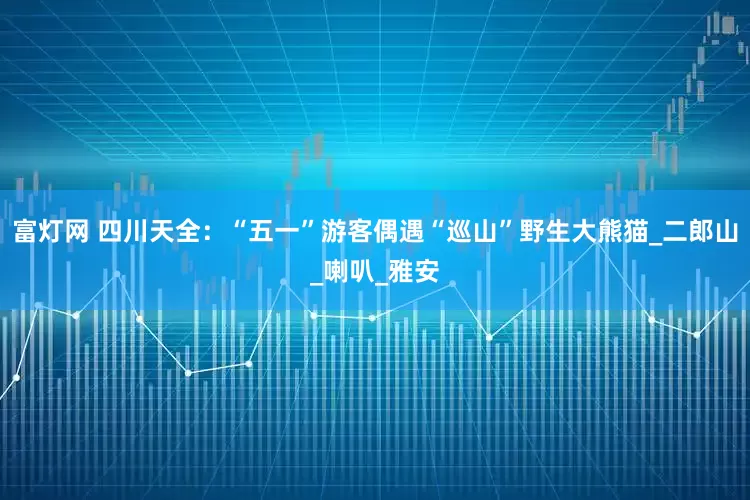 富灯网 四川天全：“五一”游客偶遇“巡山”野生大熊猫_二郎山_喇叭_雅安