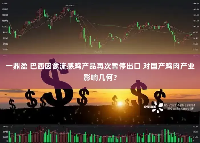 一鼎盈 巴西因禽流感鸡产品再次暂停出口 对国产鸡肉产业影响几何？